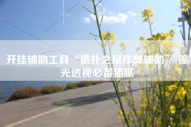 开挂辅助工具“德扑之星作弊辅助”(曝光透视必备猫腻