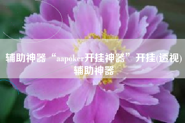 辅助神器“aapoker开挂神器”开挂(透视)辅助神器