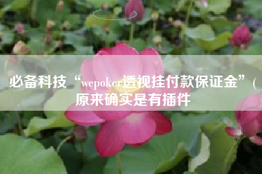 必备科技“wepoker透视挂付款保证金”(原来确实是有插件