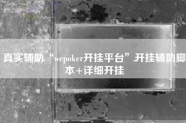 真实辅助“wepoker开挂平台”开挂辅助脚本+详细开挂