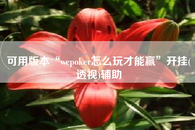 可用版本“wepoker怎么玩才能赢”开挂(透视)辅助