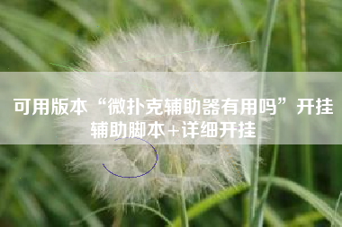 可用版本“微扑克辅助器有用吗”开挂辅助脚本+详细开挂