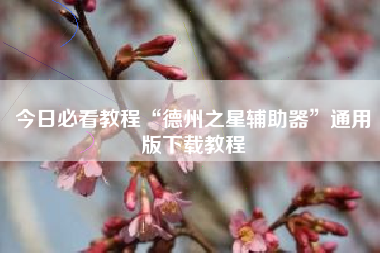 今日必看教程“德州之星辅助器”通用版下载教程