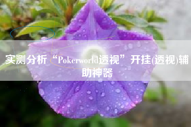 实测分析“Pokerworld透视”开挂(透视)辅助神器