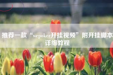 推荐一款“wepoker开挂视频”附开挂脚本详细教程