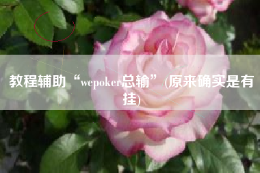 教程辅助“wepoker总输”(原来确实是有挂)