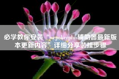 必学教你安装“wepokerplus辅助器最新版本更新内容”详细分享装挂步骤