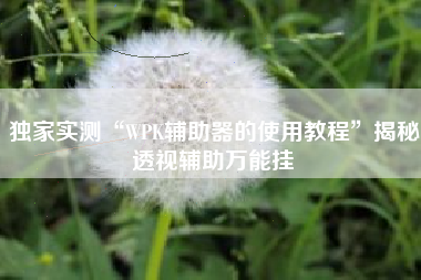 独家实测“WPK辅助器的使用教程”揭秘透视辅助万能挂