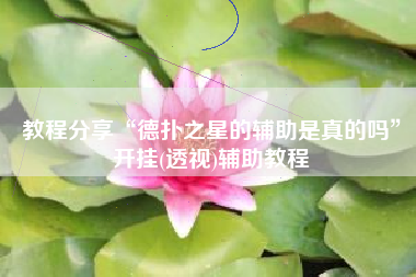 教程分享“德扑之星的辅助是真的吗”开挂(透视)辅助教程