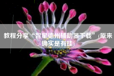 教程分享“智星德州辅助器下载”(原来确实是有挂)