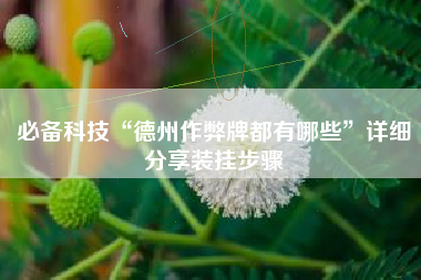 必备科技“德州作弊牌都有哪些”详细分享装挂步骤