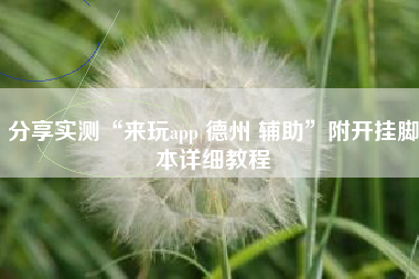 分享实测“来玩app 德州 辅助”附开挂脚本详细教程