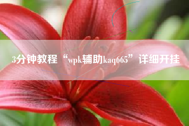3分钟教程“wpk辅助kaq665”详细开挂