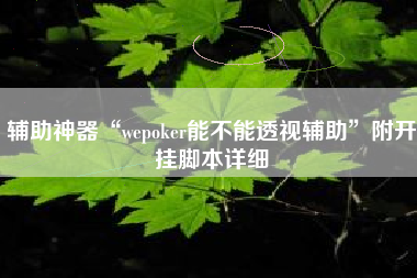 辅助神器“wepoker能不能透视辅助”附开挂脚本详细