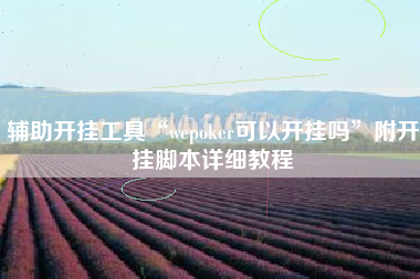 辅助开挂工具“wepoker可以开挂吗”附开挂脚本详细教程