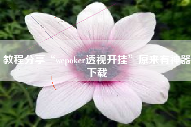 教程分享“wepoker透视开挂”原来有神器下载
