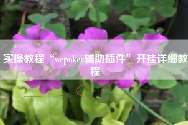 实操教程“wepoker辅助插件”开挂详细教程