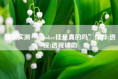 独家实测“wepoker挂是真的吗”作弊(透视)透视辅助