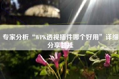 专家分析“WPK透视插件哪个好用”详细分享装挂