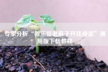 专家分析“微乐捉老麻子开挂神器”通用版下载教程
