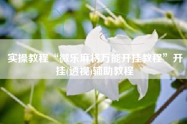 实操教程“微乐麻将万能开挂教程”开挂(透视)辅助教程