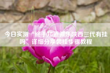 今日实测“终于知道微乐陕西三代有挂吗”详细分享装挂步骤教程