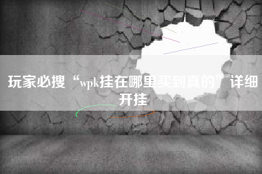 玩家必搜“wpk挂在哪里买到真的”详细开挂