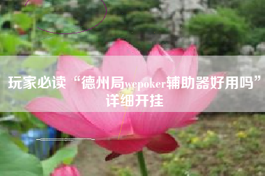 玩家必读“德州局wepoker辅助器好用吗”详细开挂