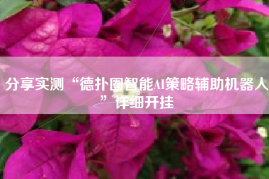 分享实测“德扑圈智能AI策略辅助机器人”详细开挂