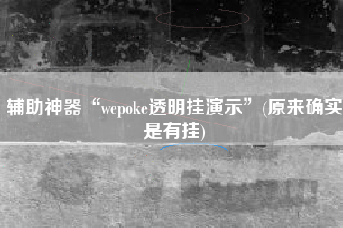 辅助神器“wepoke透明挂演示”(原来确实是有挂)