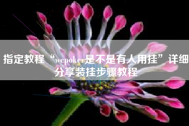 指定教程“wepoker是不是有人用挂”详细分享装挂步骤教程