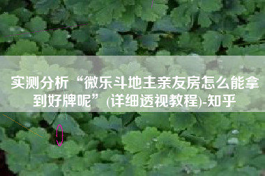实测分析“微乐斗地主亲友房怎么能拿到好牌呢”(详细透视教程)-知乎