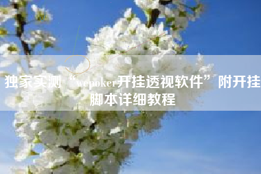 独家实测“wepoker开挂透视软件”附开挂脚本详细教程