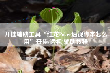 开挂辅助工具“红龙Poker透视脚本怎么用”开挂(透视)辅助教程