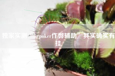 独家实测“wepoker作弊辅助”其实确实有挂