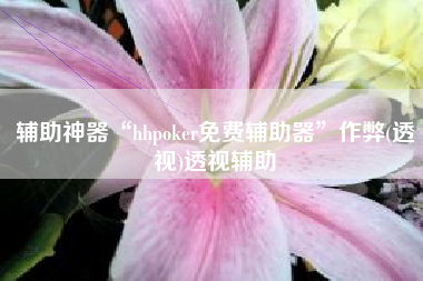 辅助神器“hhpoker免费辅助器”作弊(透视)透视辅助