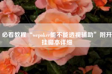 必看教程“wepoker能不能透视辅助”附开挂脚本详细
