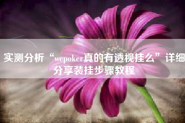 实测分析“wepoker真的有透视挂么”详细分享装挂步骤教程