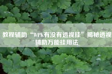 教程辅助“WPK有没有透视挂”揭秘透视辅助万能挂用法