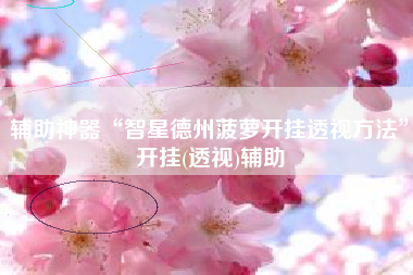 辅助神器“智星德州菠萝开挂透视方法”开挂(透视)辅助