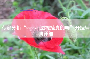 专家分析“wrpoker透视挂真的吗”开挂辅助详细