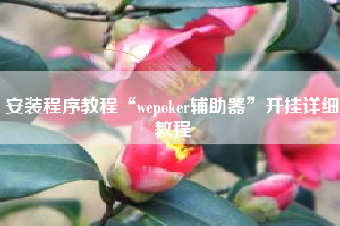 安装程序教程“wepoker辅助器”开挂详细教程
