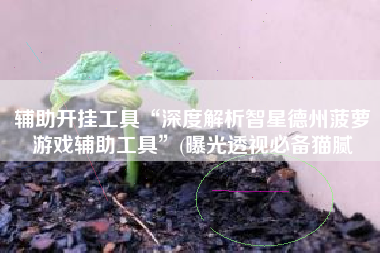 辅助开挂工具“深度解析智星德州菠萝游戏辅助工具”(曝光透视必备猫腻
