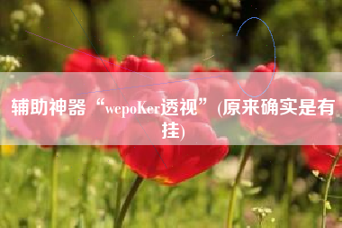 辅助神器“wepoKer透视”(原来确实是有挂)