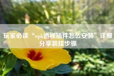 玩家必读“wpk透视插件怎么安装”详细分享装挂步骤