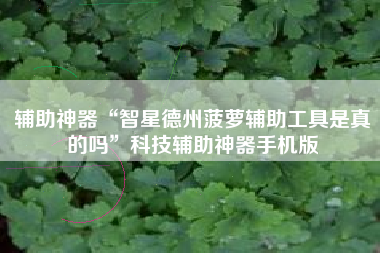 辅助神器“智星德州菠萝辅助工具是真的吗”科技辅助神器手机版