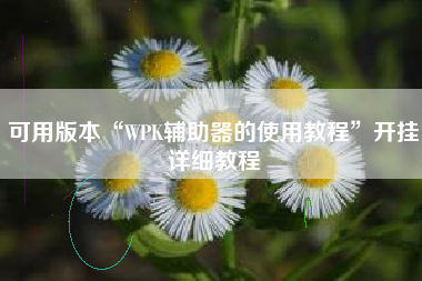 可用版本“WPK辅助器的使用教程”开挂详细教程