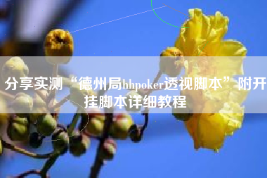 分享实测“德州局hhpoker透视脚本”附开挂脚本详细教程