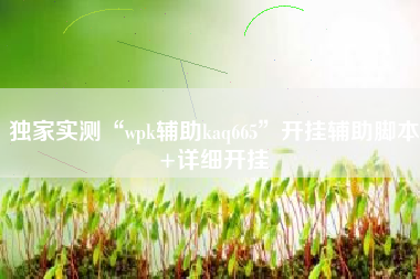独家实测“wpk辅助kaq665”开挂辅助脚本+详细开挂