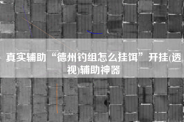 真实辅助“德州钓组怎么挂饵”开挂(透视)辅助神器